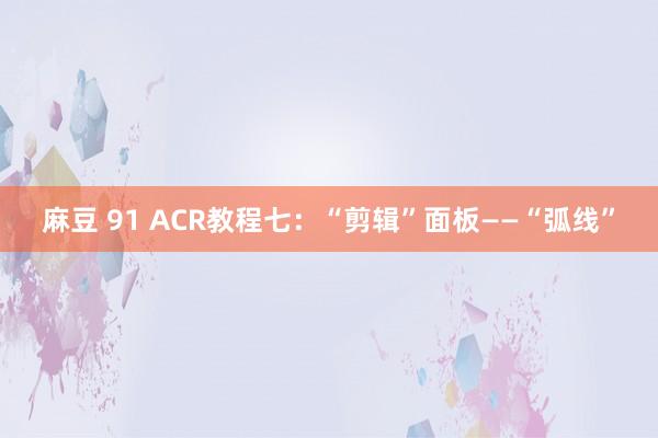 麻豆 91 ACR教程七：“剪辑”面板——“弧线”