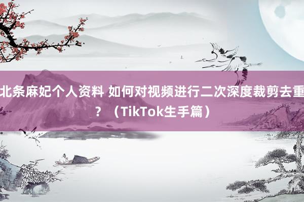 北条麻妃个人资料 如何对视频进行二次深度裁剪去重？（TikTok生手篇）