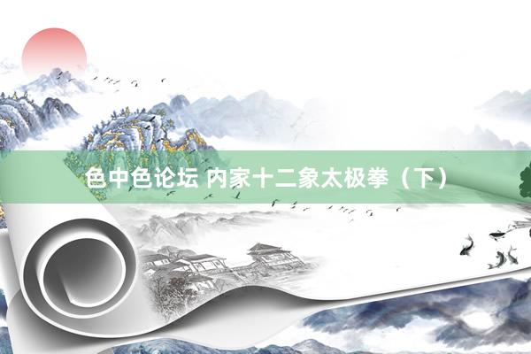 色中色论坛 内家十二象太极拳（下）