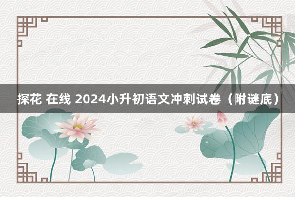 探花 在线 2024小升初语文冲刺试卷（附谜底）