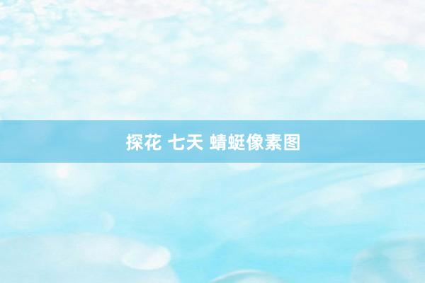 探花 七天 蜻蜓像素图