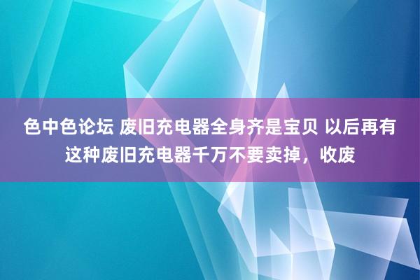 色中色论坛 废旧充电器全身齐是宝贝 以后再有这种废旧充电器千万不要卖掉，收废