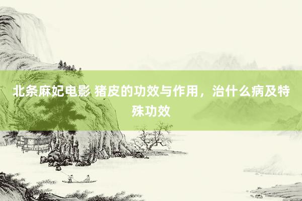 北条麻妃电影 猪皮的功效与作用，治什么病及特殊功效