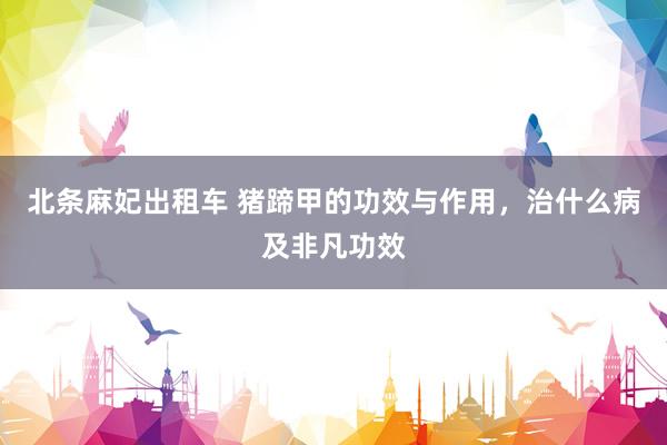 北条麻妃出租车 猪蹄甲的功效与作用，治什么病及非凡功效