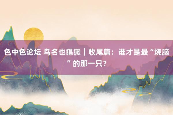 色中色论坛 鸟名也猖獗｜收尾篇：谁才是最“烧脑”的那一只？